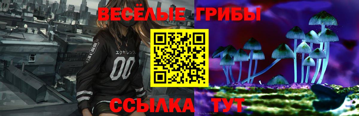 Галлюциногенные грибы Magic Shrooms  Галлюциногенные грибы Magic Shrooms  Вход с VPN  Ипатово 